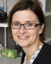 Düzel